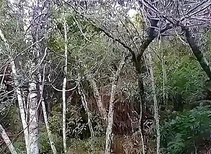 I Went to the Waterfall and Showed off Before Someone Came and Caught Me.