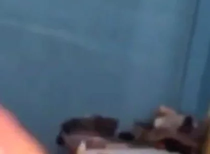 Haydenbbc Video