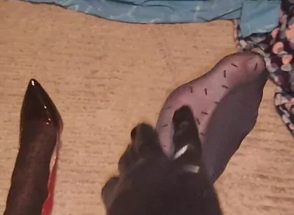 Teasing My Pattern Black Pantyhose