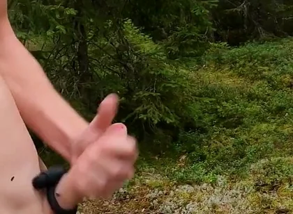 Me Against the Flies