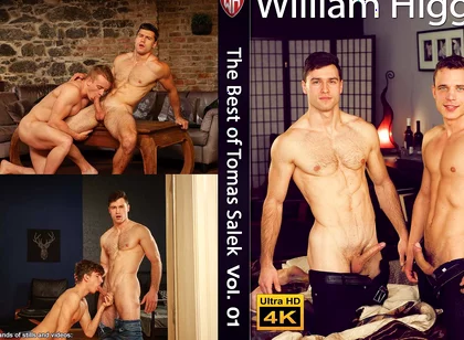 The Best of Tomas Salek Vol. 01