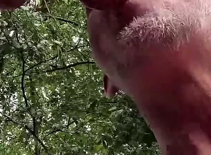 Caught in the Act