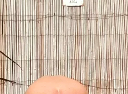 Anal Stretching