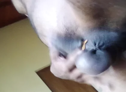 Uncut Cock an Balls Pressure Ring Swing