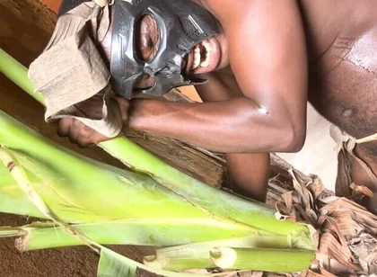 African Jujujar Bangcum