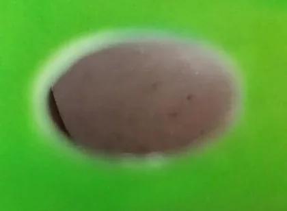 You Can See My Ass Through the Holes in the Green Screen