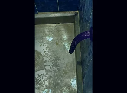 Back in the Shower, Playing with My Anus Again...