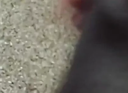 Lungi Hariy Cock Cum Licking Show