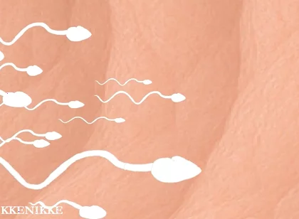 Yaoi: Spermtazoid Game: Level up in Her Stuffed Little Ass