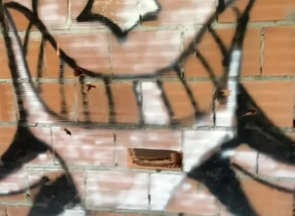 Amateur Boy Caught Bare Ass in Abandoned Building