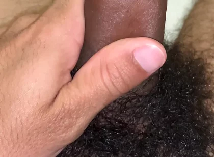 Pene Peludo Lindo