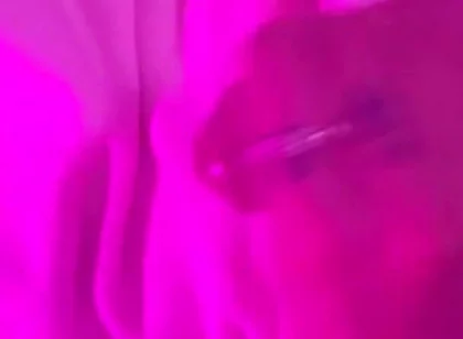 Who Likes Milk?