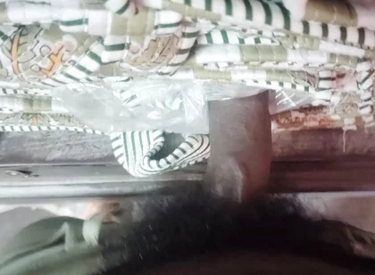 Desi Solo