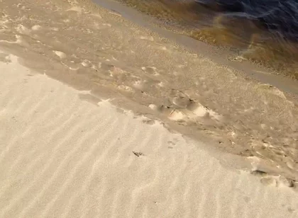 Beach Walk