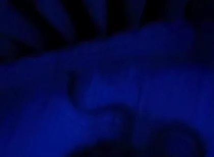 Blue Romance, Blowjob From a Sensual Blonde