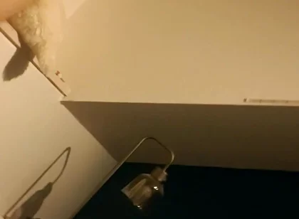 Trying the New Lights