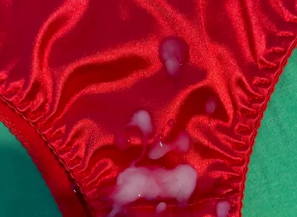 Cum on Wife’s Panties 15