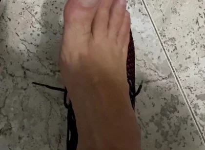 Pies Pies Pies