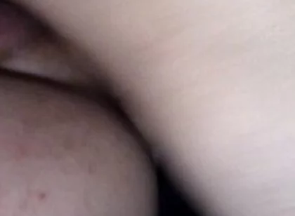 Snitch Bitch