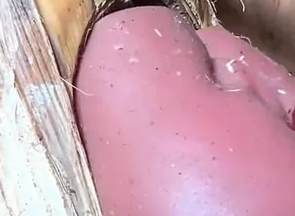 The Prisoner Find Hard Way to Sex