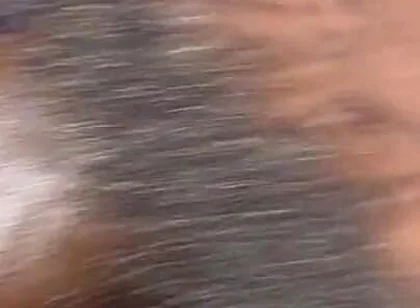 Femboy Fuck Big Pussy Cream