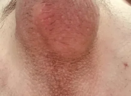 Do You Like Shaved or Hairy?