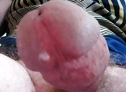 Let Cock Be Your Guide