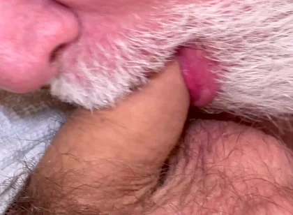 The Perfect Daddy