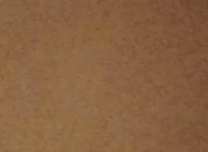 Lets Have Cum Together