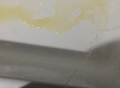 Peeing in the Bathtub