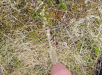 Pissing up in the Mountains