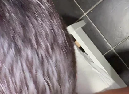 Fucked by the Black Cock