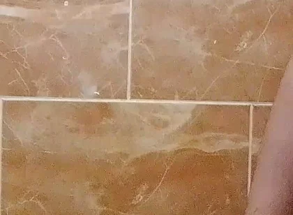 I Made a Video in the Toilet While Taking a Shower.
