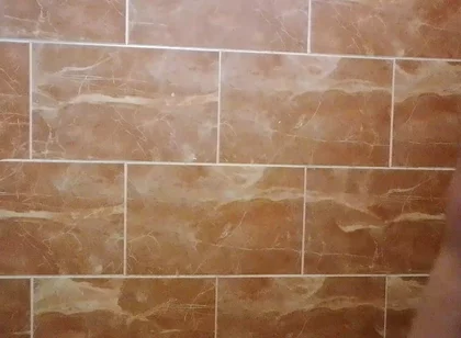 I Made a Video in the Toilet While Taking a Shower.
