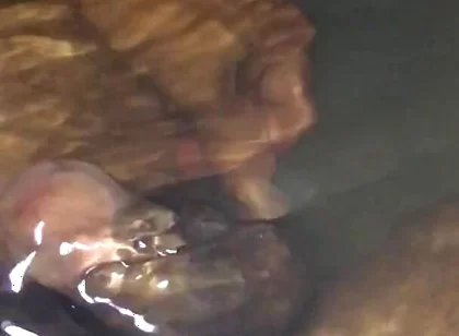 Peeing in the Bathtub