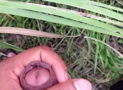 Masturbating in the Sugarcane Field