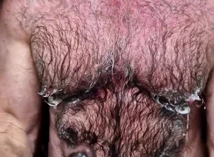 Hairy Muscle Bear Cools Down