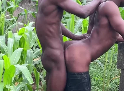 He Was in the Farm to Fuck Me so Good