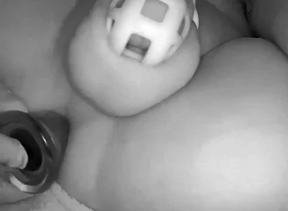 Toy in My Ass