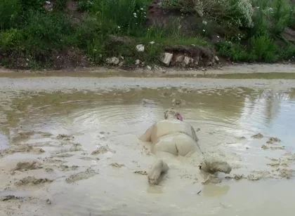 Me Playing in Deep Light Mud