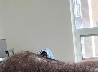Bricked up This Hump Day