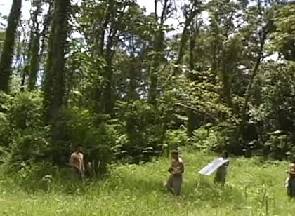 Bts-apex