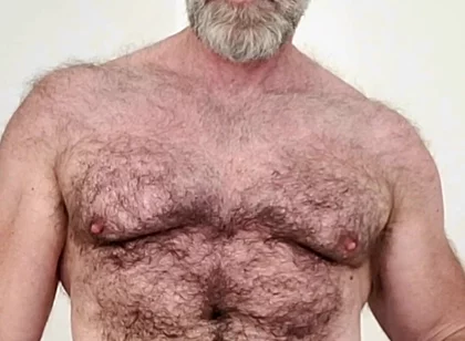 Sexy Hairy Muscle Bear