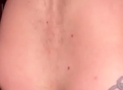 A Wolf Gets Fucked by a Bear