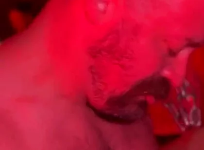 Bear Cruises the Dark Rooms