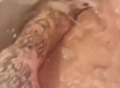 Splash