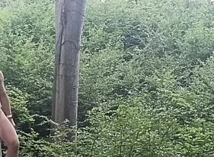 Between the Beeches: Rough Exhibition on Bare Wood