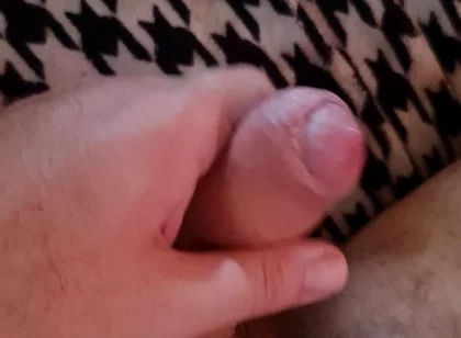 Nice Cock Mirko2589