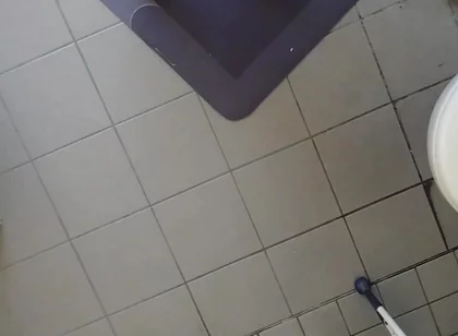 Video Examination of the Neck Holder for Ass