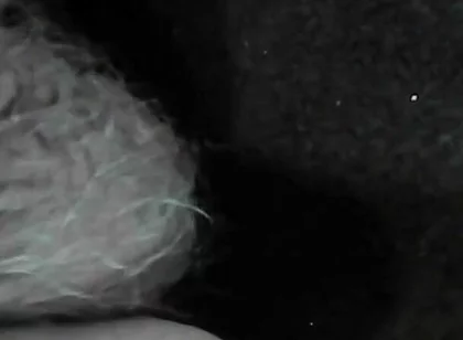 Arc of Sperm, Solo Amateur, Fountain